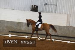 18YN_22551 thumbnail