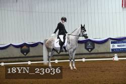 18YN_23036 thumbnail
