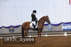 18YN_23066 thumbnail