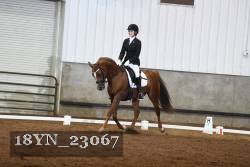 18YN_23067 thumbnail