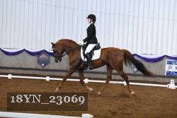 18YN_23069 thumbnail