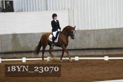 18YN_23070 thumbnail