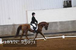 18YN_23071 thumbnail