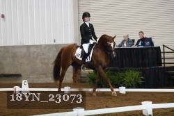 18YN_23073 thumbnail