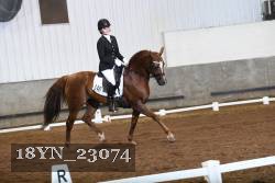 18YN_23074 thumbnail