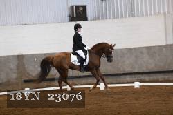 18YN_23076 thumbnail