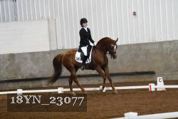 18YN_23077 thumbnail