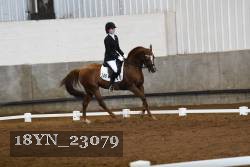 18YN_23079 thumbnail