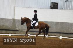 18YN_23081 thumbnail