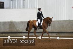 18YN_23156 thumbnail