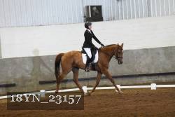 18YN_23157 thumbnail