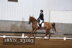 18YN_23163 thumbnail