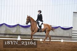 18YN_23164 thumbnail