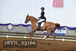 18YN_23166 thumbnail