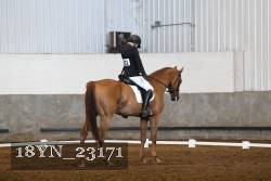 18YN_23171 thumbnail