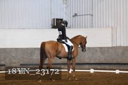 18YN_23172 thumbnail