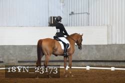 18YN_23173 thumbnail