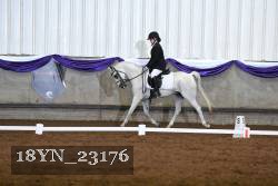 18YN_23176 thumbnail
