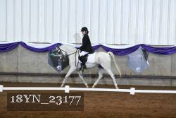 18YN_23177 thumbnail