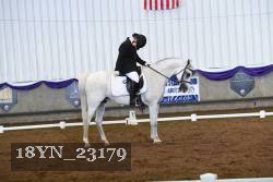 18YN_23179 thumbnail