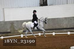 18YN_23190 thumbnail
