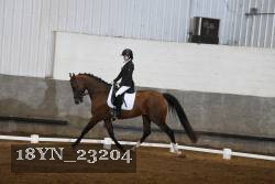 18YN_23204 thumbnail