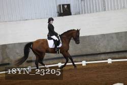 18YN_23205 thumbnail