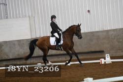 18YN_23206 thumbnail