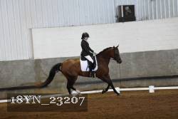 18YN_23207 thumbnail