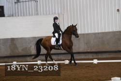 18YN_23208 thumbnail