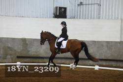 18YN_23209 thumbnail