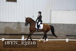 18YN_23210 thumbnail