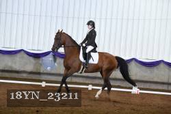 18YN_23211 thumbnail