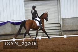 18YN_23216 thumbnail