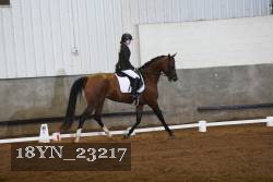 18YN_23217 thumbnail