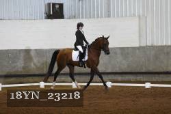 18YN_23218 thumbnail