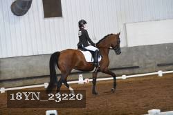 18YN_23220 thumbnail