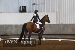 18YN_23221 thumbnail