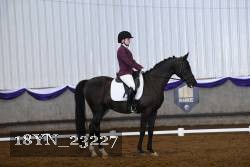 18YN_23227 thumbnail