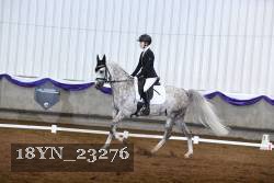 18YN_23276 thumbnail