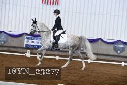 18YN_23277 thumbnail