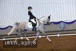 18YN_23278 thumbnail