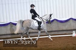 18YN_23279 thumbnail