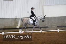 18YN_23281 thumbnail