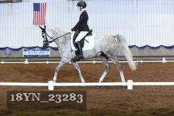 18YN_23283 thumbnail