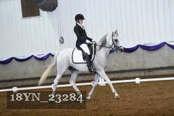 18YN_23284 thumbnail