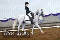 18YN_23285 thumbnail