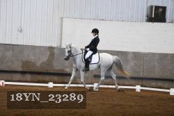 18YN_23289 thumbnail