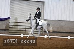 18YN_23290 thumbnail