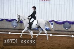 18YN_23293 thumbnail